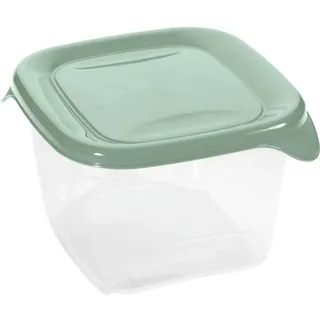 Curver Fresh&Go Frischhaltedose 0,45L quadratisch Vorratsdose transparent