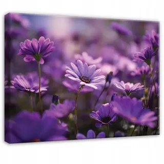 WALLARENA Leinwandbild Blumen in Lila | Gr.: 40 x 30 cm