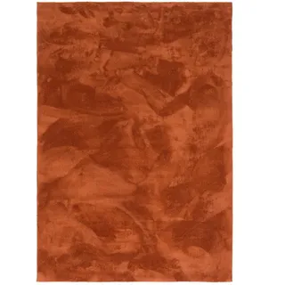 Pergamon Fellteppich 80 x 150 cm Terrakotta