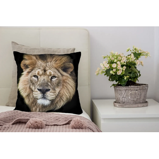 Dekokissen QUEENCE "Frank", braun (braun, bedruckt), B:40cm L:40cm, Polyester, Dekokissen_Sitzkissen_Kissenhüllen, Kissenhülle,Löwe,Tiermotiv,Wildtier,Majestätisch,Naturmotiv,Kraftvoll