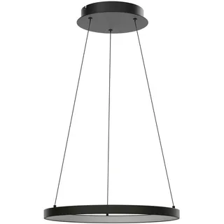 Paul Neuhaus Hoop 1-flg. 57 cm schwarz Aluminium, Eisen