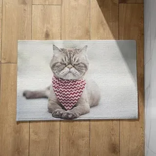 EHOMERY Schmutzfangmatte Waschbar Bunt Dünne Fussmatte Haustür Innen Katze Familien Fußmatte Personalisiert Türmatte Outdoor 40x60cm,