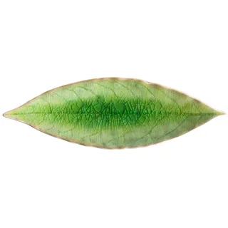Costa Nova, Riviera Kollektion, Steinzeug Geschirr, Lorbeerblatt, tomate (grün), 18 cm, 6 teilig