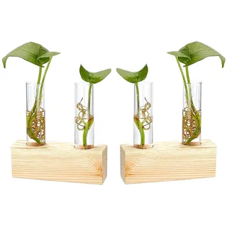 2 Stücke Reagenzglas Vase aus Holz, Hydroponische Vase mit Holzrahmen, Reagenzglas Blumenvase, Verwenden Sie zu Office Home Decoration, Geschenk für Hochzeit Geburtstag (mit 2 Reagenzgläsern)