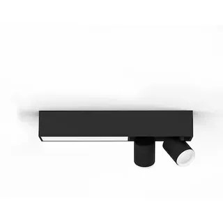 Philips Hue White & Color Ambiance Centris Spot 2-flg. schwarz