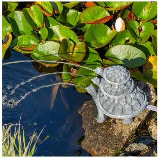 esotec Wasserspeierset Schildkröten Trio
