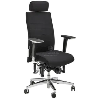 Haider Bioswing Bioswing 660 iQ Leder