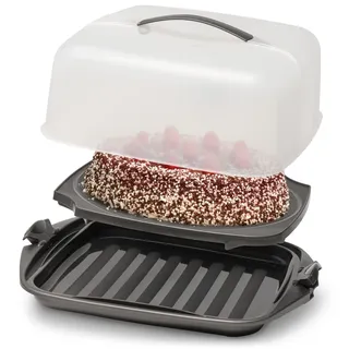 Hausfelder Kuchen Transportbox mit Kühlakku quadratisch – Tortenbehälter Tortenhaube Tortenträger 28,5 x 28,5 x 13,5 cm – Tortenbox mit Deckel & 2-Klick-Verschluss – Blechkuchen, Muffins, Gugelhupf