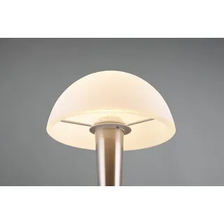Trio R59561107 LED-Tischleuchte Canaria 1x4,9W | E14 | 470lm | 3000K - inklusive Leuchtmittel, Touch-Funktion an/aus