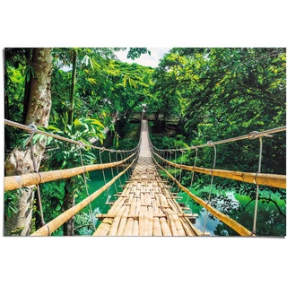 Poster REINDERS "Dschungel Brücke" Bilder Gr. B/H: 91,5 cm x 61 cm, grün Bilder