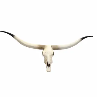 MCW Deko Kuhschädel MCW-D32, Stierkopf Bulle Tierkopf Longhorn Trophäe, Polyresin 103x43x11cm