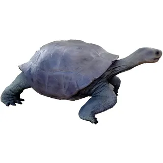 Xlmoebel Tierfigur Gartenstatue Schildkröte aus hochwertigem Material (Skulptur A256-60x140cm), Hergestellt in Europa beige|schwarz