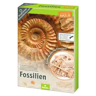 Moses Expedition Natur Fossilien-Ausgrabungs-Set