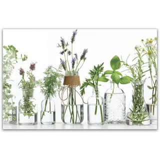 Herdabdeckplatte 80x52 cm einteilig aus 4mm ESG Glas | Kräuter in Glasvasen – Frische Kräuter, Küchenkräuter im Glas | Herd Abdeckung Induktion Schneidebrett für Glaskeramikkochfeld