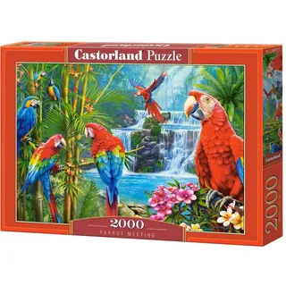 Castorland Parrot Meeting Puzzle 2000 Teile (2000 Teile)