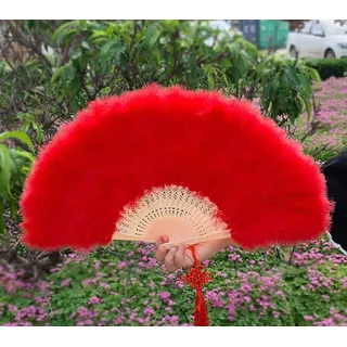 LUMoony 1Pcs Faltfächer Handfaecher Federfächer Federfächer Handfächer Retro Handfächer Damen Damen Fächer Feder für Hochzeit,Halloween,Party, Gastgeschenk, Outdoor Federn, Kostüm, Accessoire