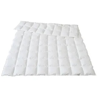 Traumina Plume Bio Daune Einziehdecke WK2 - 155x200cm