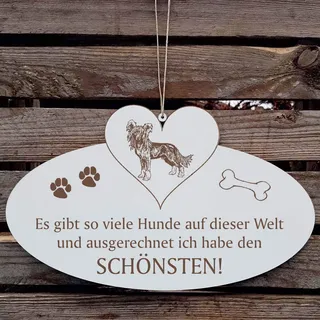 SCHILD Dekoschild mit Herz « Schönster HUND der WELT - CHINESISCHER SCHOPFHUND » ca. 20 x 12 cm - mit Motiv und Spruch - Shabby Vintage Holzschild Türschild - Chinese crested dog Nackthund China