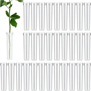 30 Stück Reagenzgläser Für Blumen, Reagenzglas Vase, Reagenzglas Kunststoff, Blumenröhrchen Mit Kappen Für Blumenarrangements Blumen Pflanzen Dekoration