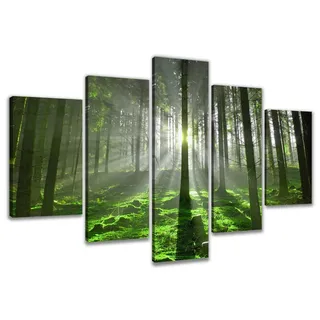 Visario Leinwandbild Wald Sonnenstrahlen Moos 200 x 100 cm 5-teilig Direktdruck auf Leinwand mit Holzrahmen Wandbild Kunstdruck XXL Wanddeko für Wohnzimmer Schlafzimmer Artikelnr. 6312