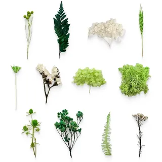 KSJEHW Getrocknete Blumen zum Basteln - Trockenblumen Set für Kranz, Schleierkraut Getrocknet, Kleine Blüten für Deko (Grüne)
