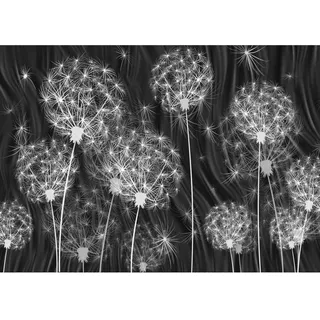 Runa Art Fototapete Pusteblumen 352 x 250 cm Vlies Tapeten XXL Moderne Wandtapete Wohnzimmer Schlafzimmer Schwarz Weiss 9094011c
