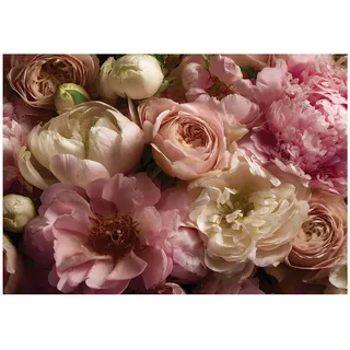 WallArena Fototapete Blumen Pfingstrosen Rosa 150x105 cm