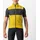 Goldenrod/Dark Grey M