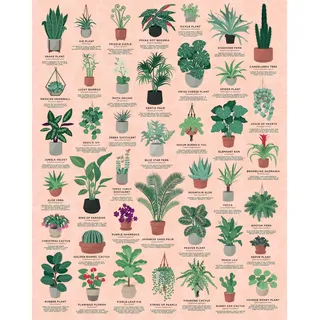 Abrams & Chronicle Books House Plants 1000 Piece Jigsaw Puzzle