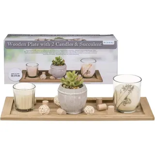 Out of the blue Dekotablett Holz Natur - Maße ca. 36 × 14 cm - Deko-Set mit Kerzen im Glas, Sukkulente & Holzdeko - Natürliche Tischdeko & Geschenkidee für Wohnzimmer