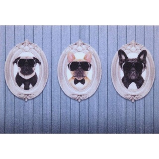 oKu-Tex Fußmatte | Schmutzfangmatte | "Deco-Star" | Aufdruck/Motiv | Hunde Portraits | lustig | Innenbereich / Eingangsbereich | rutschfest | 50x80 cm