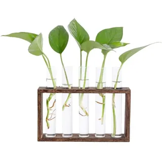 Reagenzglas-vase Mit Holzständer Für Hydrokulturpflanzen, Vintage-reagenzglas-vase