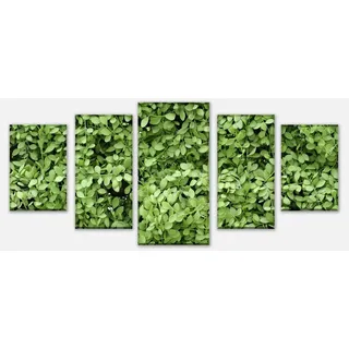 wandmotiv24 Mehrteilige Bilder Grüne Blätter Wand, Blumen und Pflanzen (Set, 5 St), Wandbild, Wanddeko, Leinwandbilder in versch. Größen grün 200 cm x 100 cm x 1.8 cm
