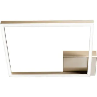 Fabas Luce Bard 1x39W eckig gold edelmatt