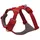 red canyon XS