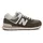 Calcium / Dark Silver Metallic 44