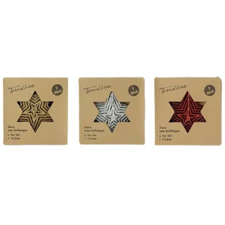 Trendline Stern zum Hängen 2er-Set 12,5cm Weihnachtsstern Weihnachtsdeko Stern