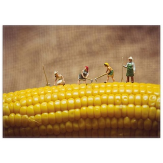 Teppich Lustige Bauernfiguren auf einem Maiskolben beim Arbeiten, Wallario, rechteckig, rutschfest