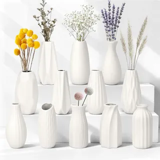 JBER 12 Kleine Vasen Weiß, 13cm Matt Keramik Vase für Wohnaccessoires Deko | Modernes Boho Skandinavische Home Dekor Keramikvase für Pampasgras und Trockenblumen, ideal zur Dekoration für Zuhause, Tisch