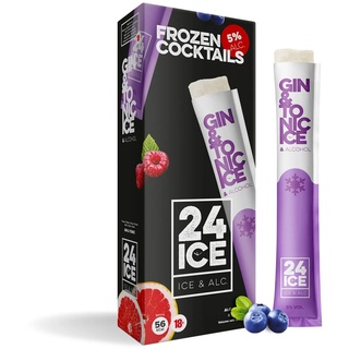 24ICE Gin & Tonic Cocktail Wassereis 5,0 % vol 5 x 65 ml
