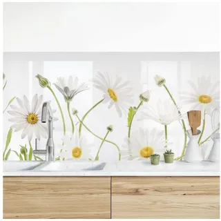 Bilderdepot24 Küchenrückwand weiß dekor Blumen Landhaus Leichter Gänseblümchen Mix II, (1-tlg., Nischenrückwand - für Fliesenspiegel ohne Bohren - matt), Spritzschutz Rückwand Küche Herd - Folie selbstklebend versch. Größen weiß 280 cm x 80 cm