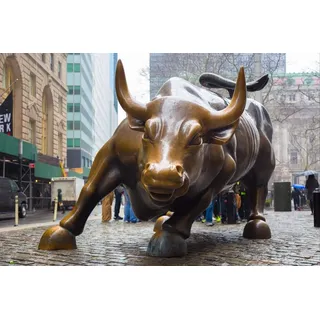 SHILIHOME New York Wall Street Copper Bull Malen nach Zahlen DIY einzigartig