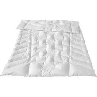 Traumina Exclusive Body Daune Einziehdecke WK2