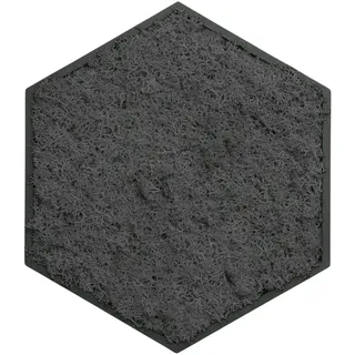 ebenkunst Hexagon Moosbild – Wanddeko aus schwarzem MDF | Schwarz durchgefärbtes MDF, konserviertes Islandmoos, ca. 19,6 x 22,6 cm, 6 Moosfarben, Made in Germany