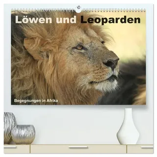Michael Herzog | Löwen und Leoparden - Begegnungen in Afrika (hochwertiger...
