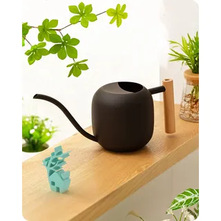 Baffect GießKanne Zimmerpflanzen Edelstahl Mit Holzgriff (1,2l, Schwarz) | Klein Bonsai GießKanne, Metall Watering Can Mit Langer Hals FüR Innenbereich Topfpflanzen, Blumenkanne FüR Zimmerpflanzen