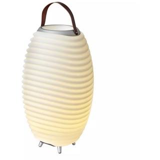 Synergy LED-Lampe Getränkekühler Weinkühler Dimmbar Bluetooth Sound-System XL 65