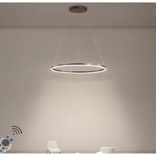 LED-Pendelleuchte Modern Dimmbar Hängeleuchte Ring Kreis Hängelampe Esstisch Pendellampe Aluminium Kronleuchter Decke Hänge Lampe Für,Kücheninsel,Wohnzimmer ( Color : Braun , Größe : 1 ring/100CM/58W