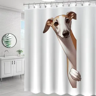 Yelolyio Windhund-Duschvorhang, Hund, der um die Ecke schaut, 183 x 200 cm, Badvorhang mit Haken, wasserdichte Badewannen, lustige Badezimmer-Dekoration, moderne Badezimmer-Duschvorhang-Sets