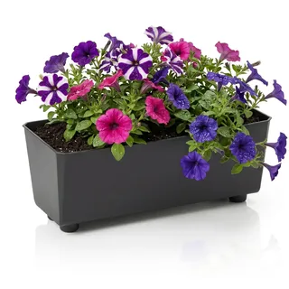 Lamela Rechteckiger Pflanzkasten mit eleganten Füßen – Schwarzer Blumenkübel aus robustem Kunststoff 37x17 cm, 6L – Wetterfest & Pflegeleicht - für Innen & Außen, Schwarz